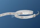 LED Flexible Strip  ZH-LSF5050RGB30